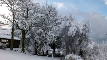 Winter scene 2011