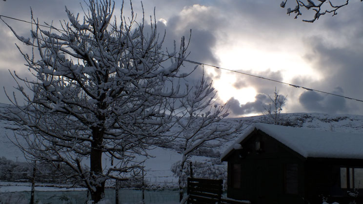 Winter scene- Dec 2011