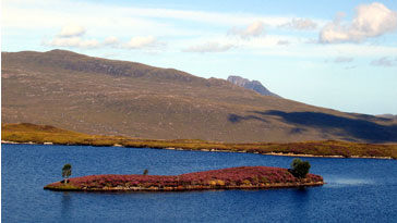 Island of Heather