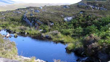 Clear water run off