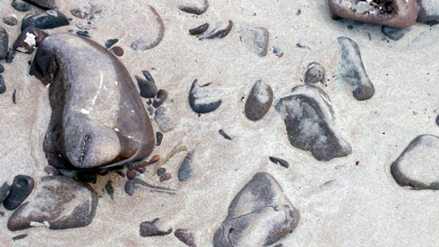 Pebbles in sand