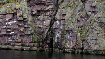 Crevice in the rocks of Isle Martin