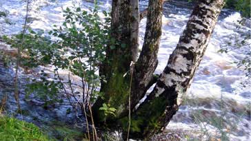 Rushing water in spate - right click on image to get a new window displaying a 1920x1080 image to download