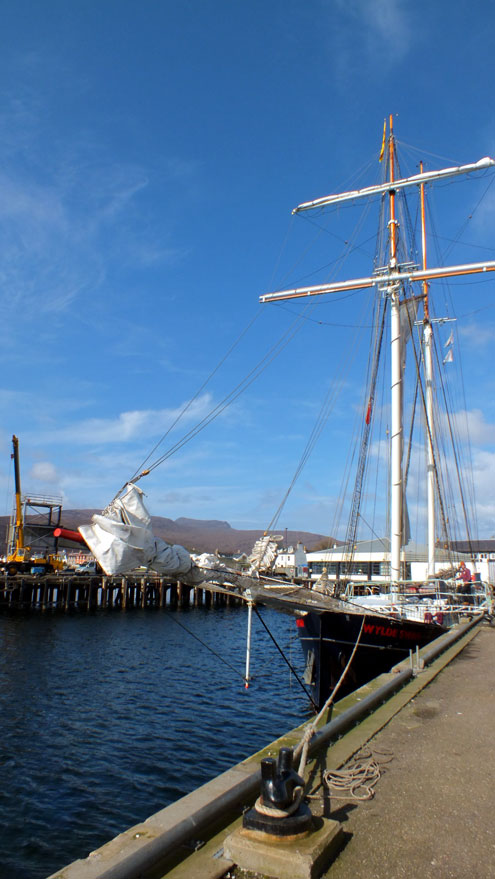 Wilde Swan - Tall Ship
