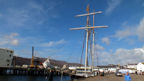 Wilde swan - Tall Ship